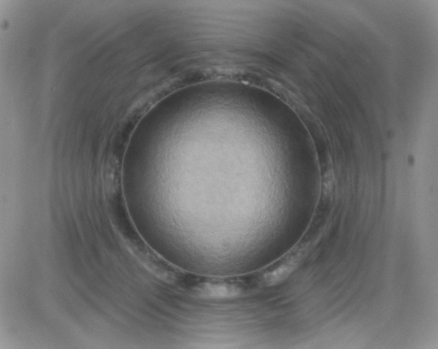 X0000081500464200701262123