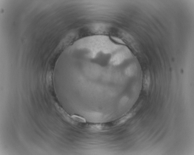 X0000081500473200701262123