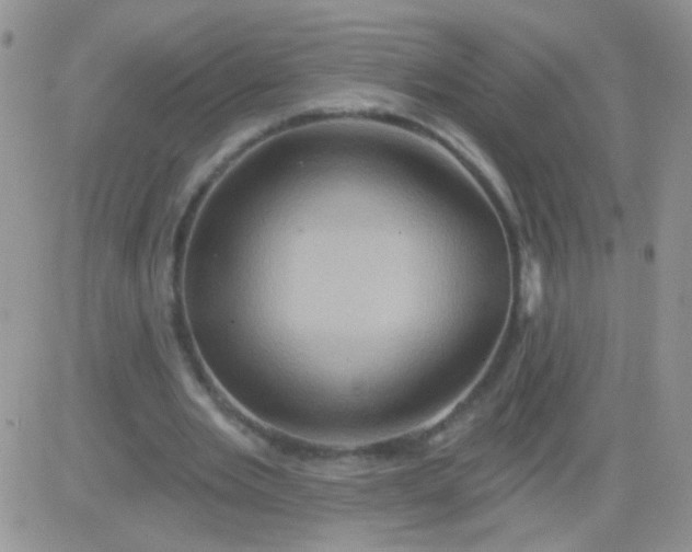 X0000081500485200701262122