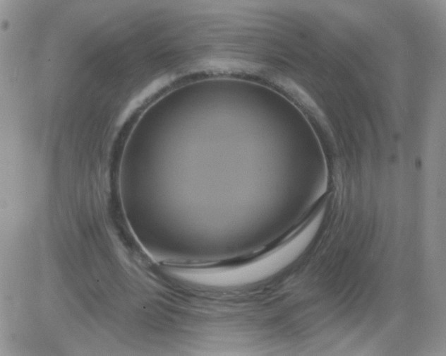 X0000081500488200701262122
