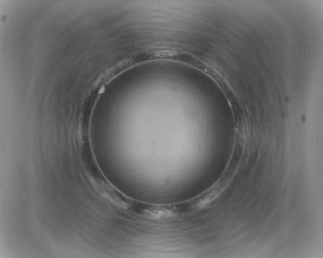 X0000081500512200701262122