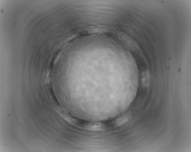 X0000081500514200701262122