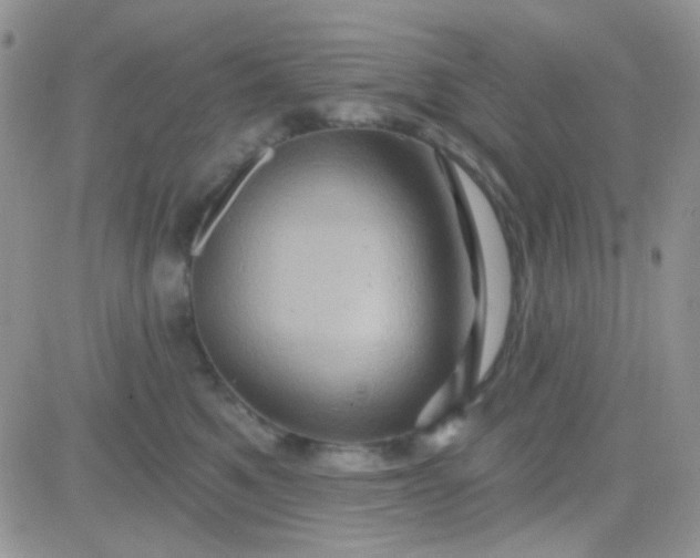 X0000081500521200701262122