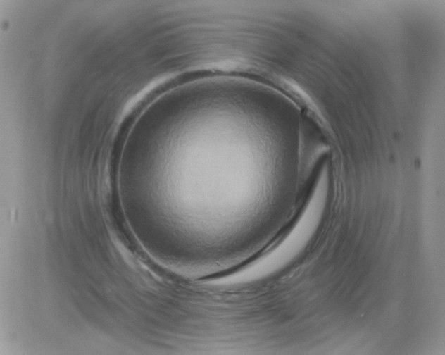 X0000081500532200701262121