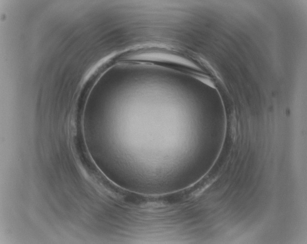 X0000081500536200701262121