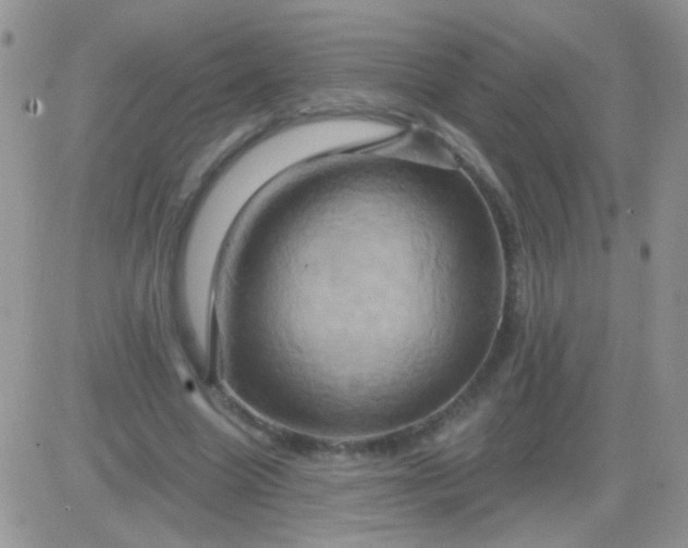 X0000081500538200701262121