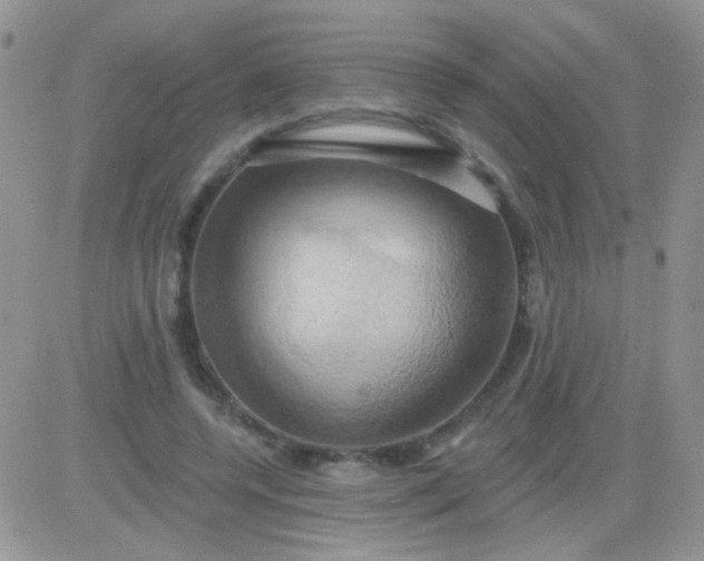 X0000081500544200701262121