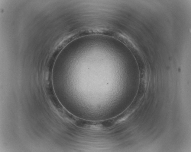 X0000081500548200701262121