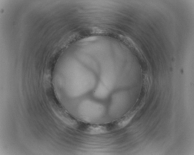 X0000081500557200701262121