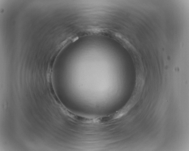 X0000081500576200701262122