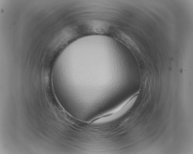 X0000081500595200701262121