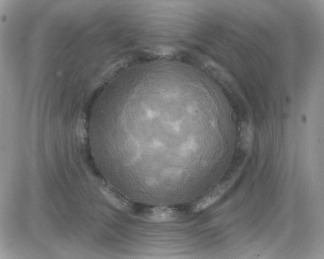 X0000081500612200701262120