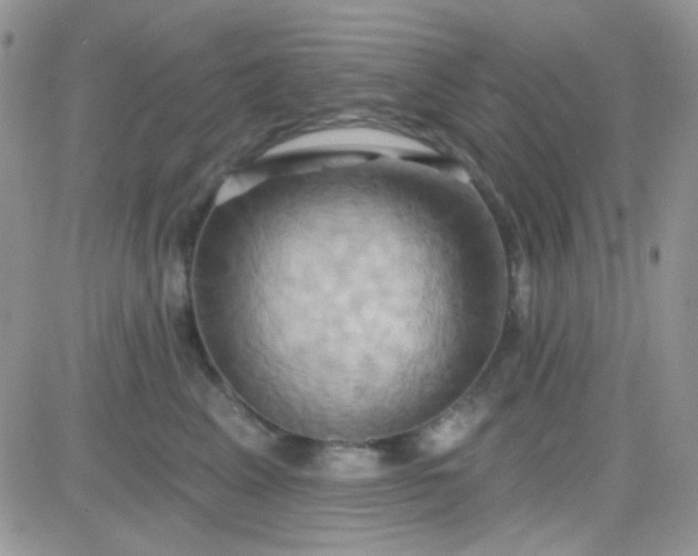 X0000081500617200701262120