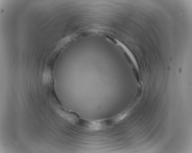 X0000081500623200701262120