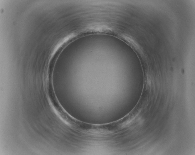 X0000081500630200701262120