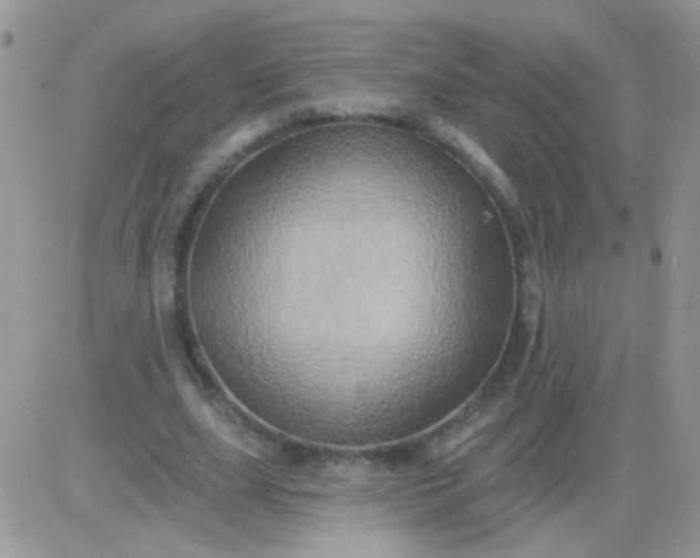 X0000081500631200701262120