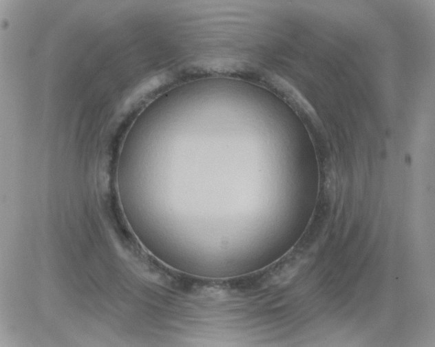 X0000081500635200701262120