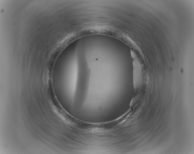 X0000081500637200701262120