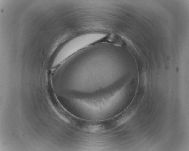 X0000081500638200701262120