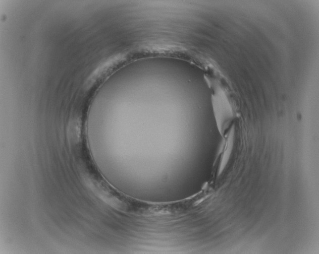 X0000081500640200701262120