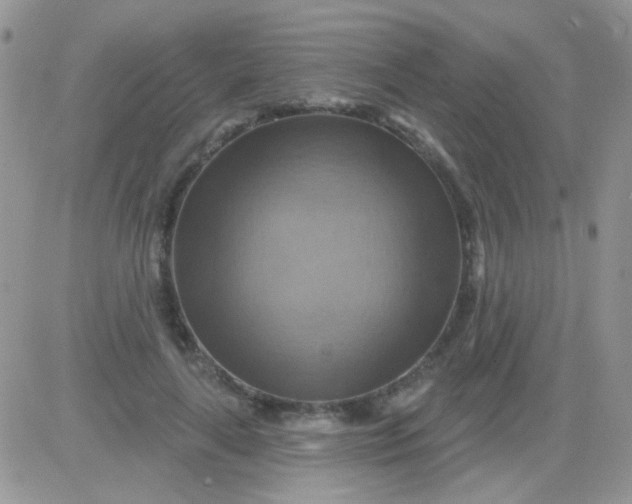 X0000081500643200701262120