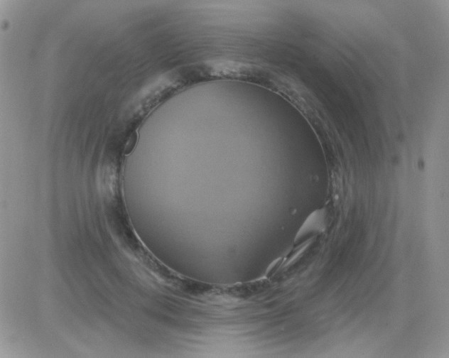 X0000081500648200701262120