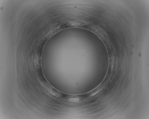 X0000081500653200701262120