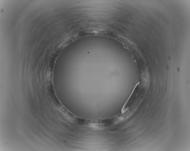 X0000081500657200701262120