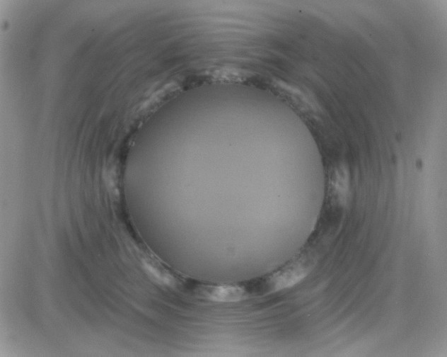 X0000081500663200701262120