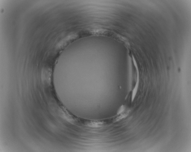 X0000081500664200701262120