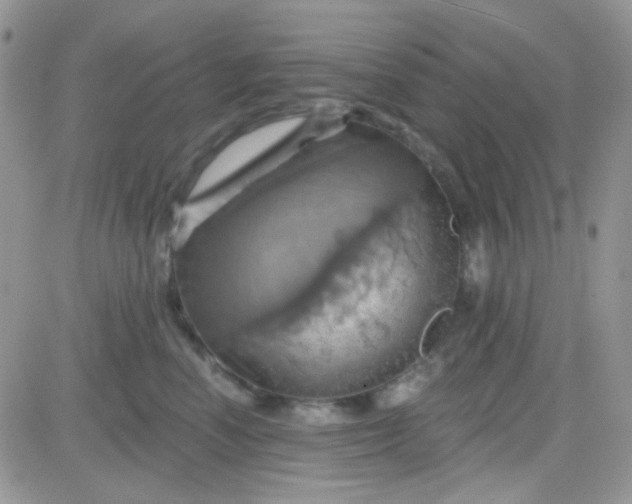 X0000081500666200701262120