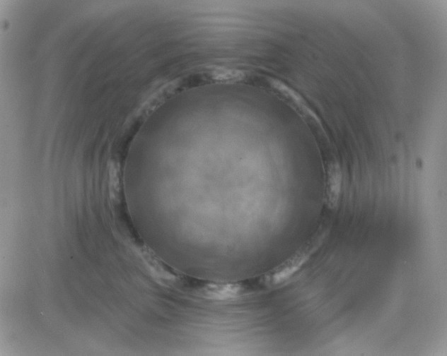 X0000081500667200701262120