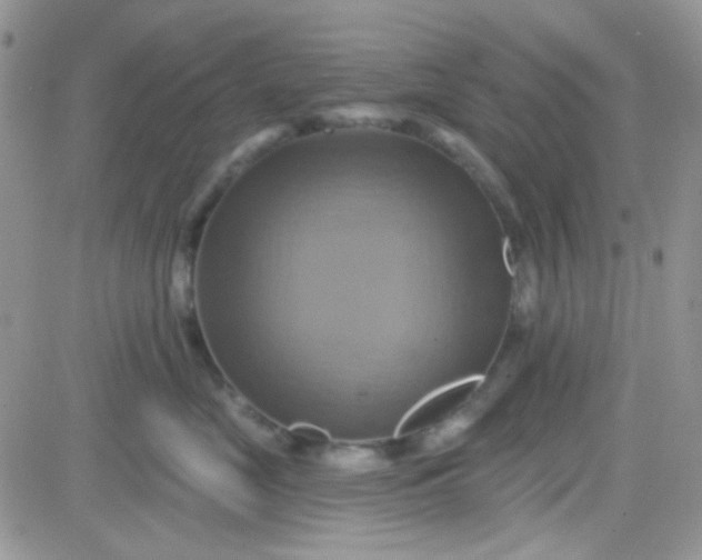 X0000081500669200701262120