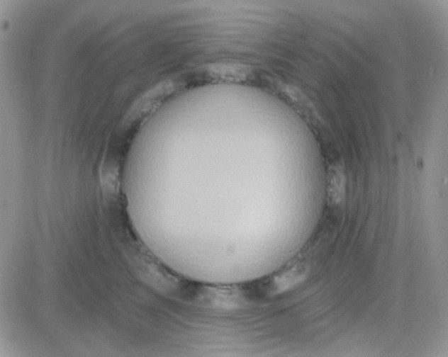 X0000081500713200701262119