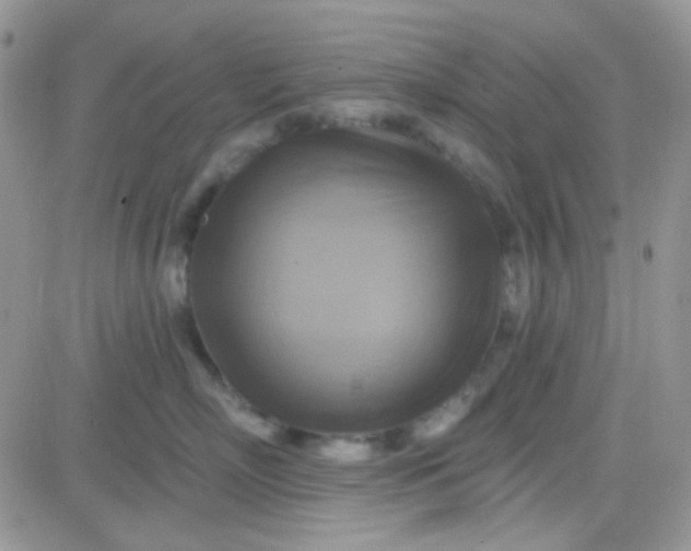 X0000081500718200701262119