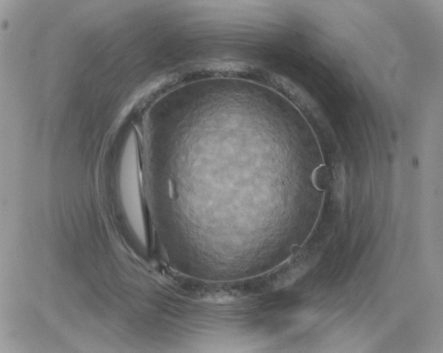 X0000081500731200701262118