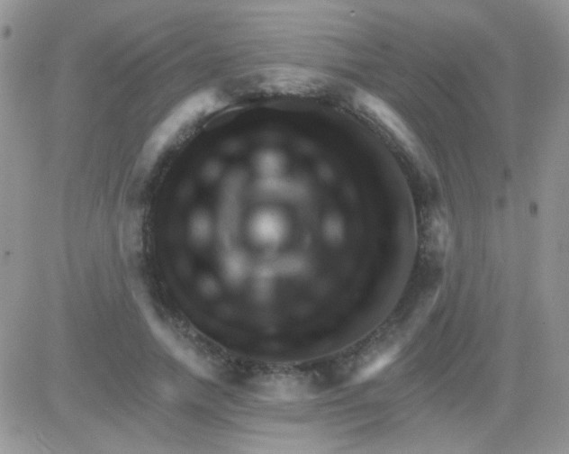 X0000081500738200701262118