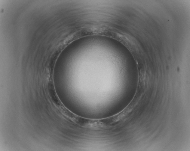 X0000081500752200701262118