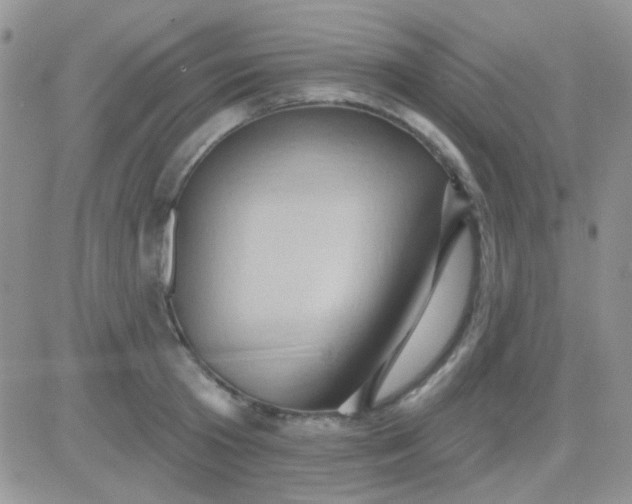 X0000081500801200701262117