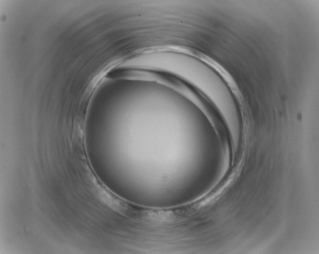 X0000081500809200701262117