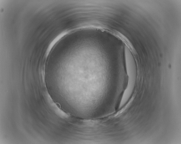 X0000081500812200701262117