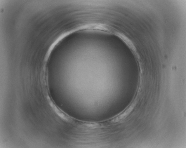 X0000081500816200701262117