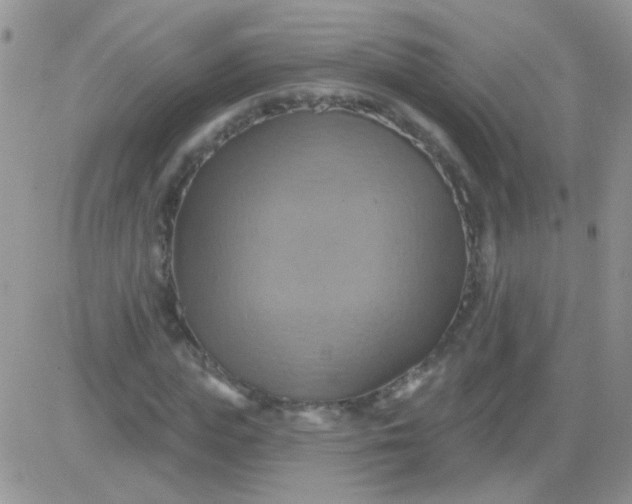 X0000081500823200701262116