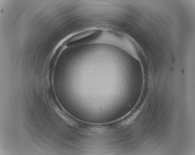 X0000081500830200701262117