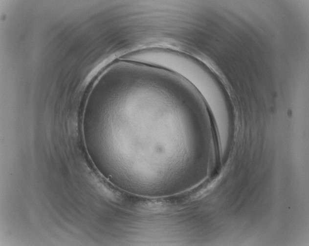 X0000081500834200701262117