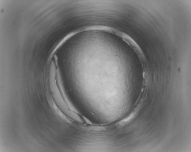 X0000081500860200701262117