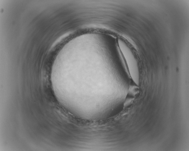 X0000081500872200701262116