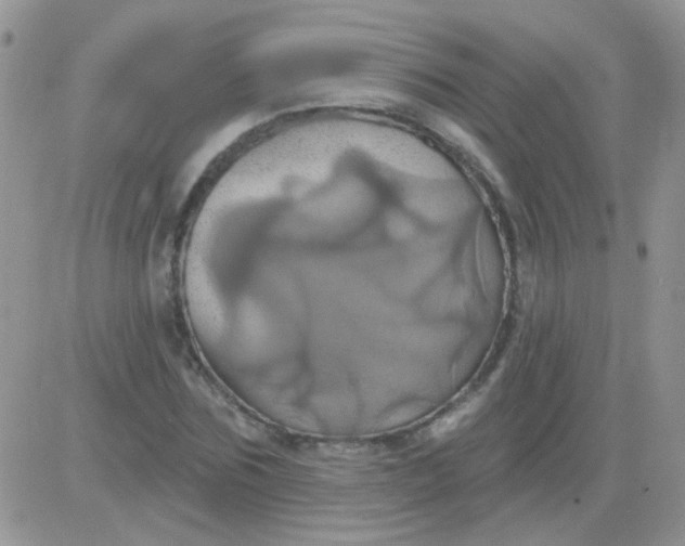 X0000081500875200701262116