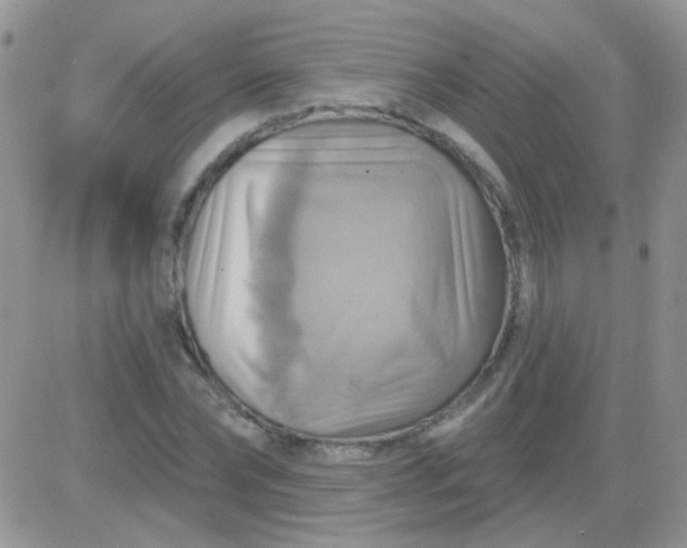 X0000081500878200701262116