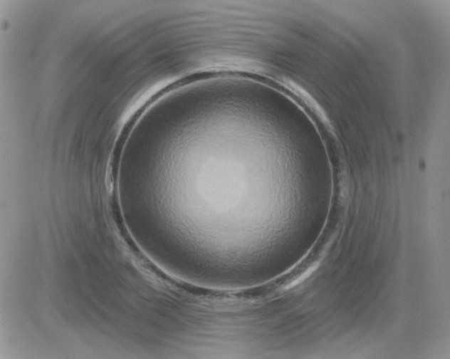 X0000081500885200701262116